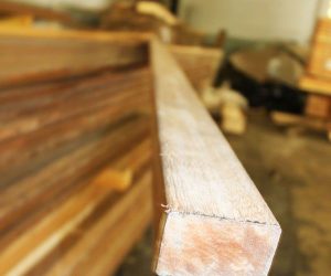 LAMBOURDE EXOTIQUE 42X68MM